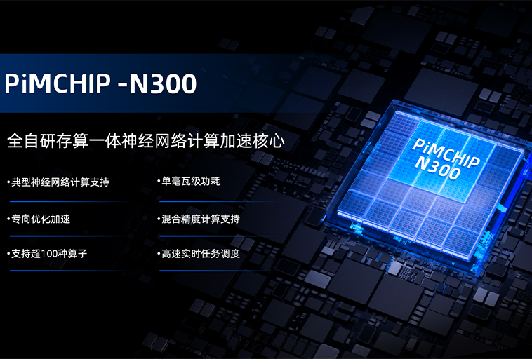 苹芯科技 Pimchip-N300