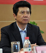 苏宁环球 张桂平